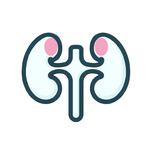 Suprarrenal